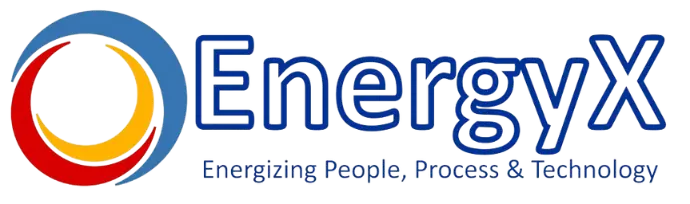 EnergyX 369 Logo Footer